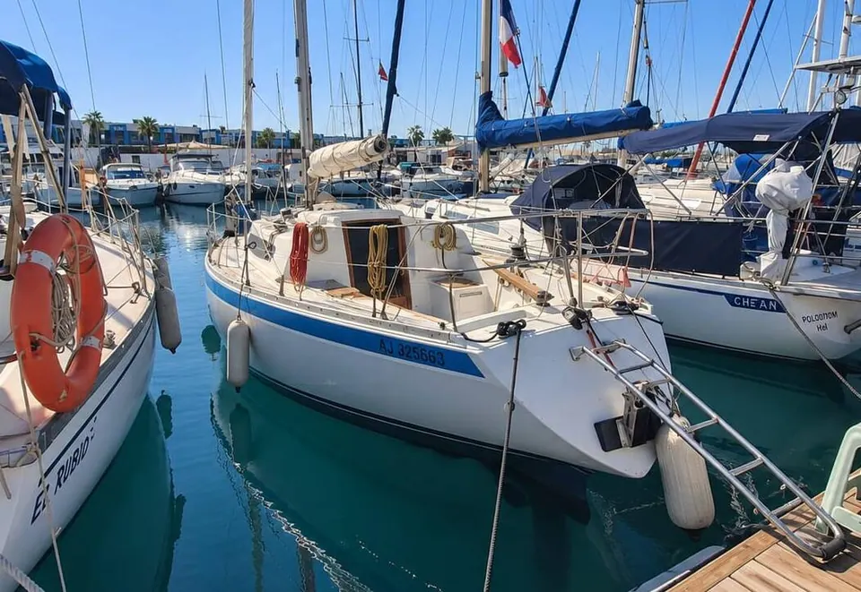 Nicholson 33