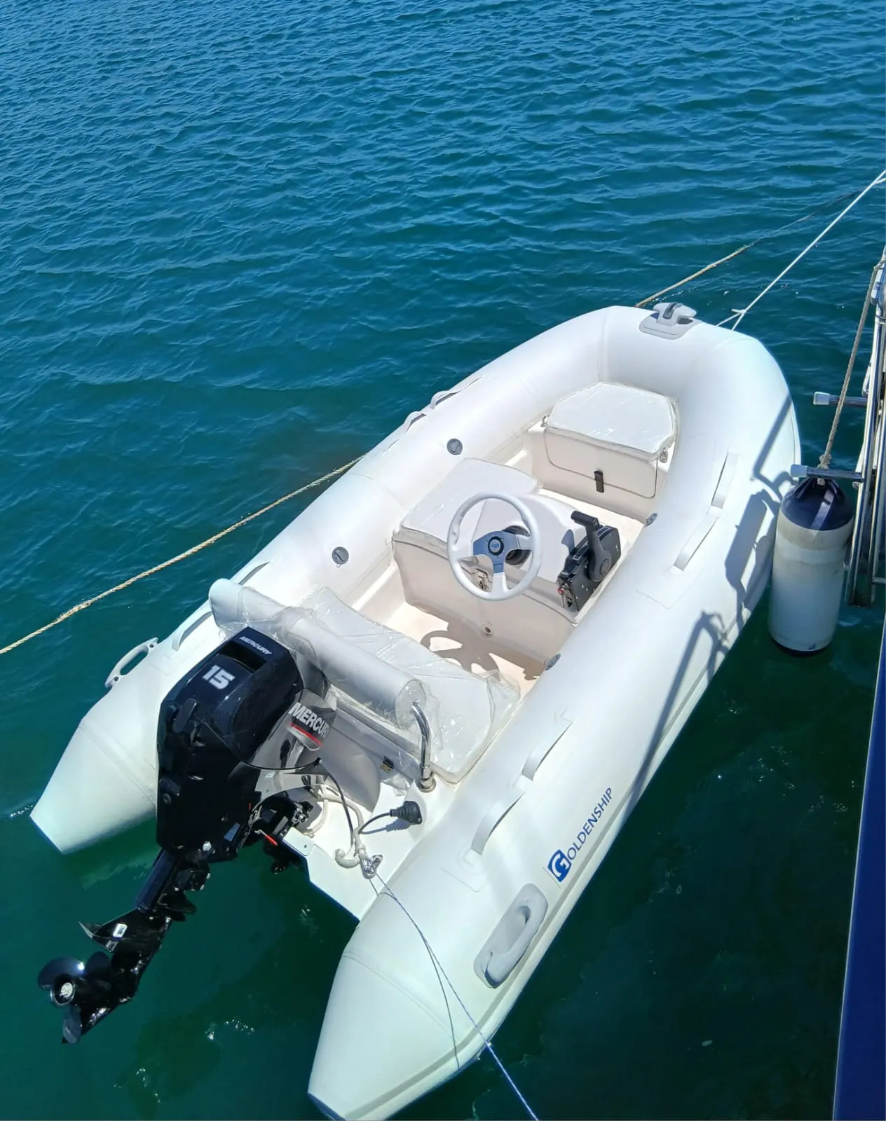 Goldenship 290 — foto 1