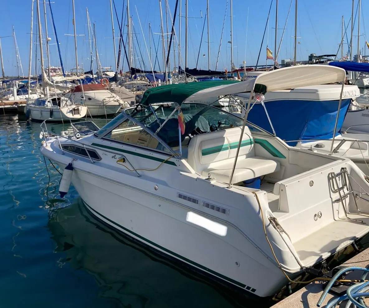 Sea Ray 270 Sundancer — foto 1