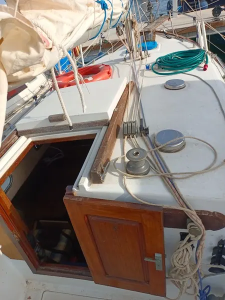 Myabca Delfin 31 — foto 2