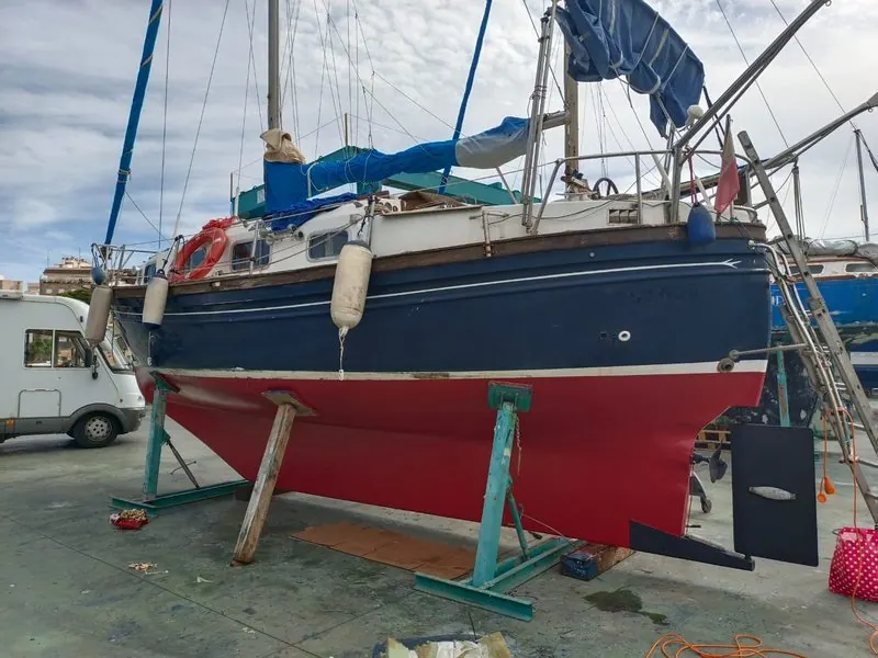 Myabca Delfin 31 — foto 11