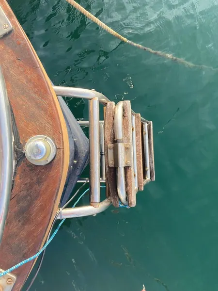 Myabca Delfin 31 — foto 13