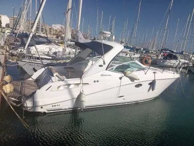 Sea Ray 290 Sundancer